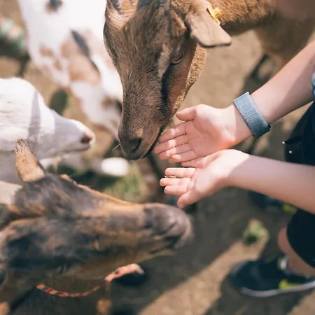 Der Kirchheimerhof Hotel