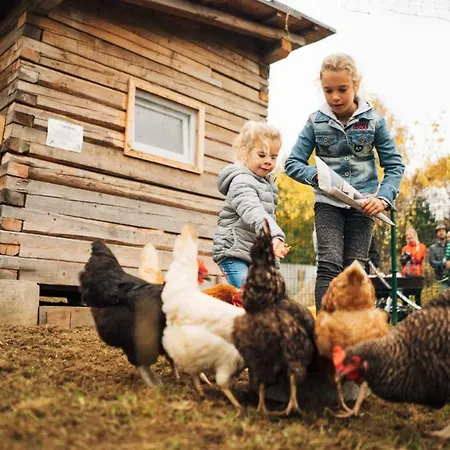 Der Kirchheimerhof 4*