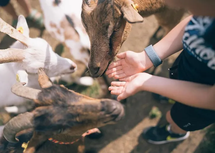 Der Kirchheimerhof Hotel