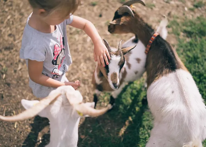 克尔克海莫霍夫高级酒店 酒店 4*