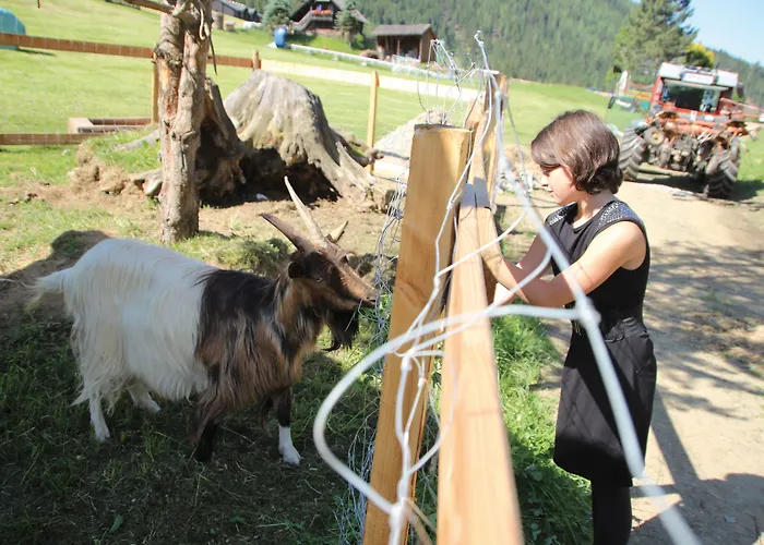 Der Kirchheimerhof 4*