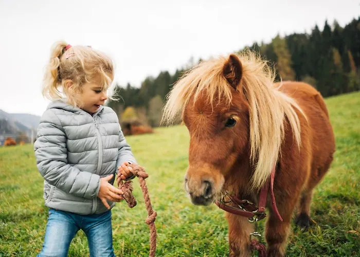Szálloda Der Kirchheimerhof 4*