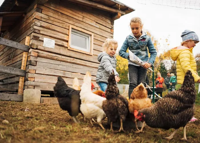 Der Kirchheimerhof 4*